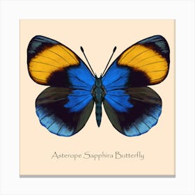 Tropical Butterfly Blue Canvas Print