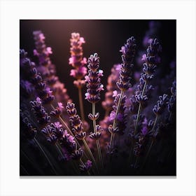 Lavender Flowers In The Dark Canvas Print