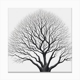 Bare Tree Canvas Print