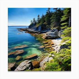 Rocky Shoreline Canvas Print