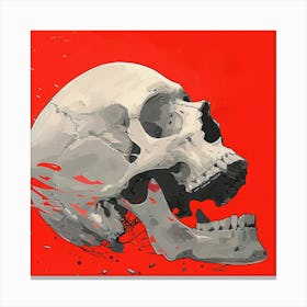 Skull On Red Background Canvas Print