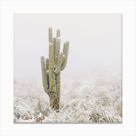 Snowy Desert Scenery Canvas Print