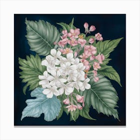 Hydrangea Floral Botanical Vintage Poster Flower 3 Canvas Print