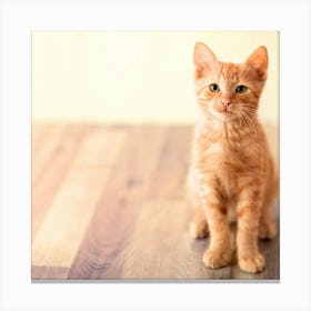 Orange Tabby Kitten Canvas Print