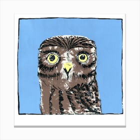 Little Owl Screenprint Canvas Print