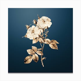 Gold Botanical White Damask Rose on Dusk Blue n.0970 Canvas Print