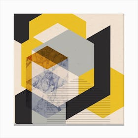 Hexagonal Square Canvas Print