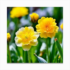 Garden Blossom Summer Grass Bloom Green Buttercup Meadow Field Spring Beautiful Yellow B Canvas Print