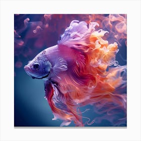 Siamese Catfish 7 Canvas Print