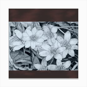 composition with flowers and leaves, fresh tone on reddish ground Canvas Print