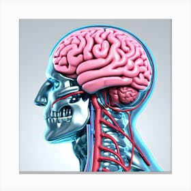 3d Render Of A Medical Image Of A Male Figure With Brain Highlighted Canvas Print