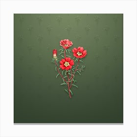 Vintage Portulaca Splendens Flower Botanical on Lunar Green Pattern Canvas Print