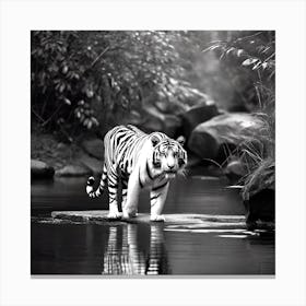 White Tiger 6 Canvas Print