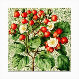 Vintage Rosehips Canvas Print