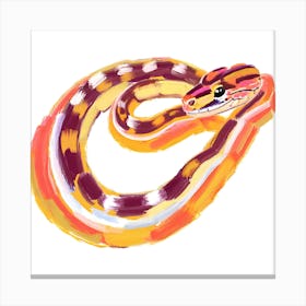 Corn Snake 03 Canvas Print