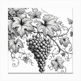 Line Art grapes and vines 2 Canvas Print