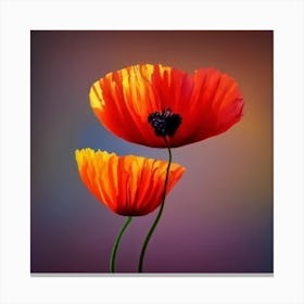 Two Poppies Canvas Print