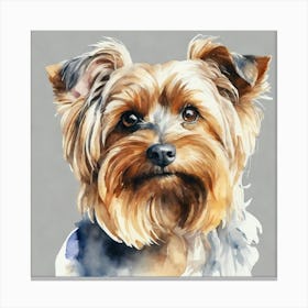 Yorkshire Terrier Canvas Print