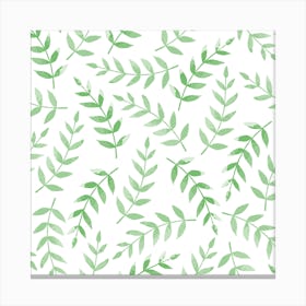 Watercolor Leaves On A White Background Canvas Print