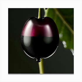 Black Cherry Canvas Print