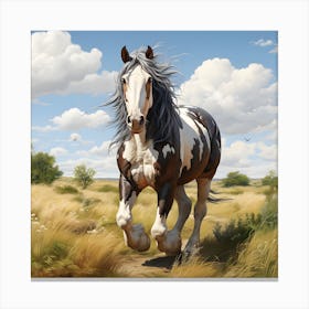 The Power and Grace of a Skewbald Cob Horse Canvas Print
