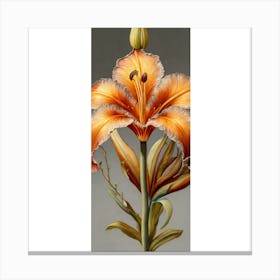 Orange Lily Canvas Print