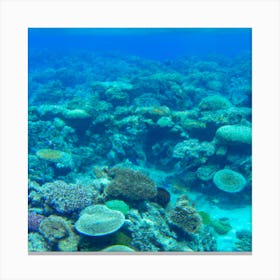 Great Barrier Reef8 Canvas Print