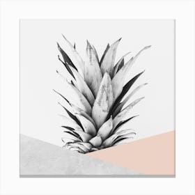 Geometric art with pineapple Canvas Print