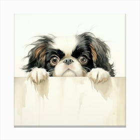 Chihuahua 19 Canvas Print