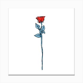 Red rose Canvas Print