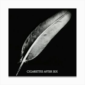 Cigarettes After Sex Melancholic 7 Canvas Print