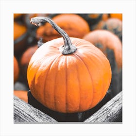 Pumpkins In A Crate Canvas Print