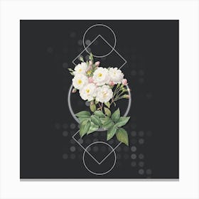 Vintage Noisette Roses Botanical with Geometric Line Motif and Dot Pattern n.0238 Canvas Print