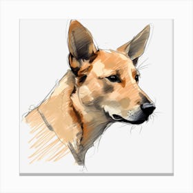 Carolina Dog 1 Canvas Print