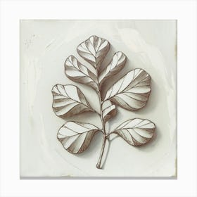 Eucalyptus Leaf Canvas Print