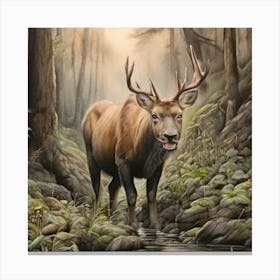 Elk In The Woods Canvas Print