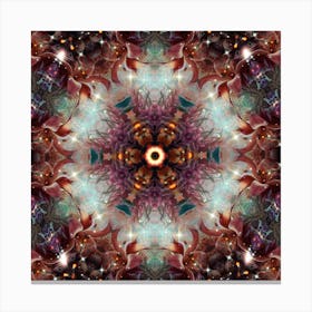 Mandala 89 Canvas Print