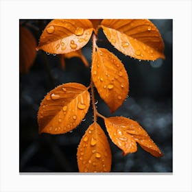 Autumn Leaves With Water Droplets Canvas Print