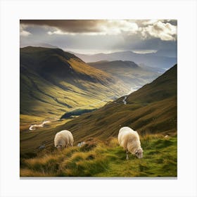 Sheep In The Scottish Highlands Canvas Print