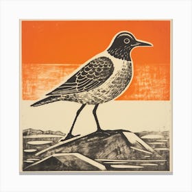 Retro Bird Lithograph Grey Plover 1 Canvas Print