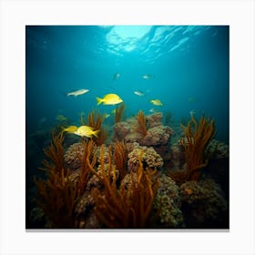 Coral Reef17 Canvas Print