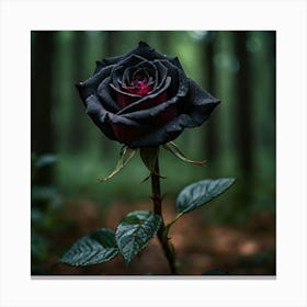 Black Rose In The Forest 1 Canvas Print