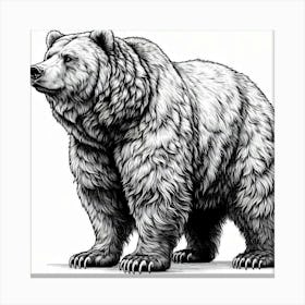 Line Art grizzly 1 Canvas Print