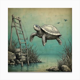 Turtle On Ladder Canvas Print