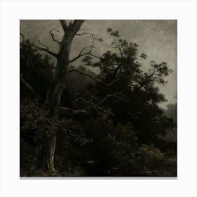 Twilight In The Woods Canvas Print