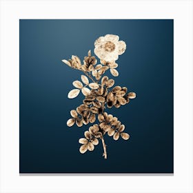 Gold Botanical Macartney Rose on Dusk Blue n.0613 Canvas Print