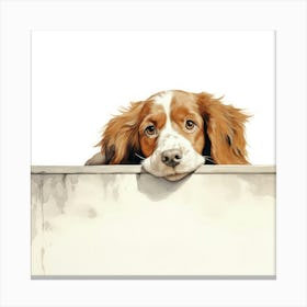 Setter Irish Red 1 Canvas Print