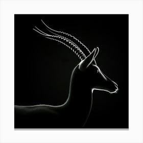 Antelope Canvas Print