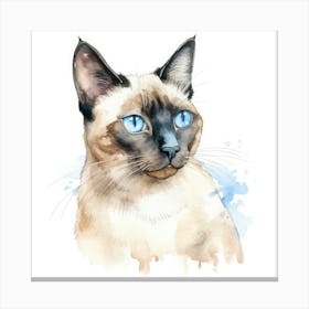Classic Siamese Cat Portrait 2 Canvas Print