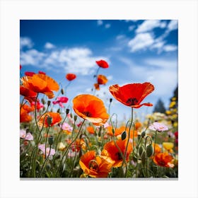 Poppy 1 Canvas Print